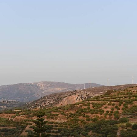 Paraspori Traditional Home With View المظهر الخارجي الصورة