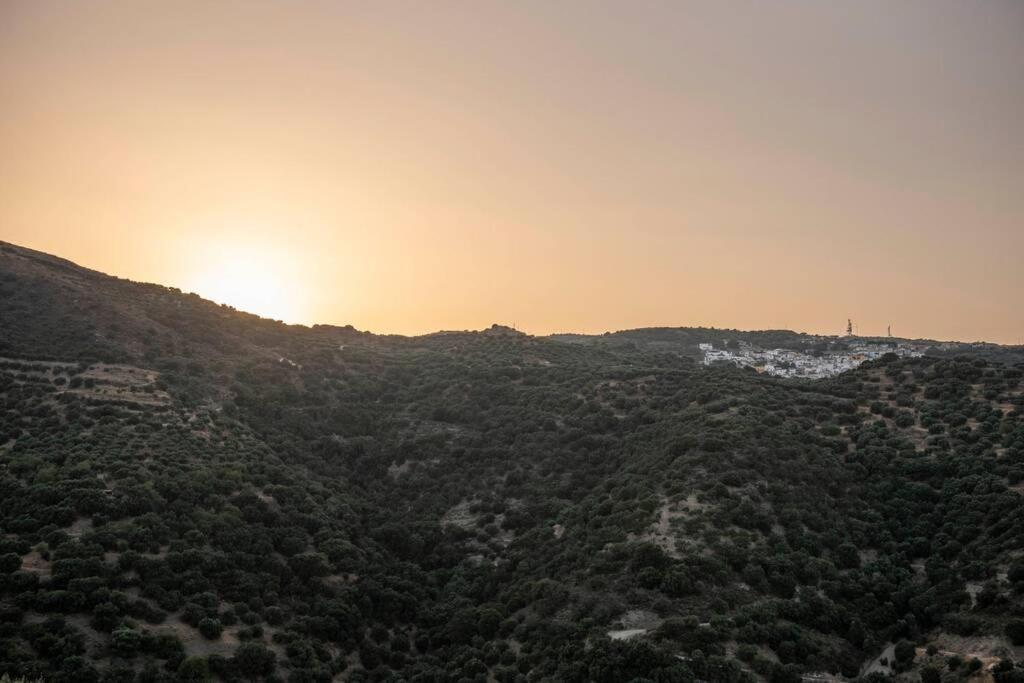 Paraspori Traditional Home With View المظهر الخارجي الصورة